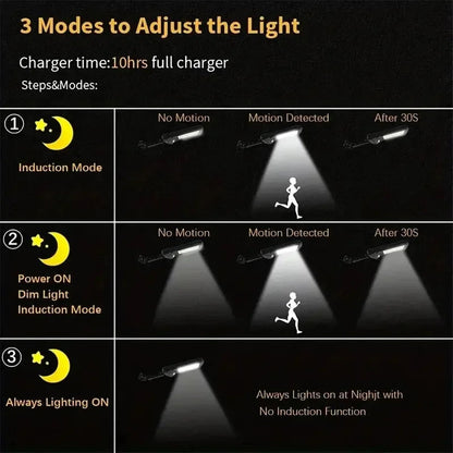 SolarBeam 9900LM Garden Light